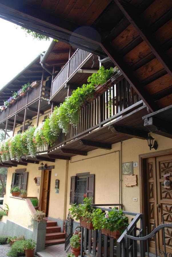 Maisonette Nus Luaran gambar